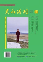 Tianshan Shikan 2022 Jinban